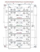 organigramme